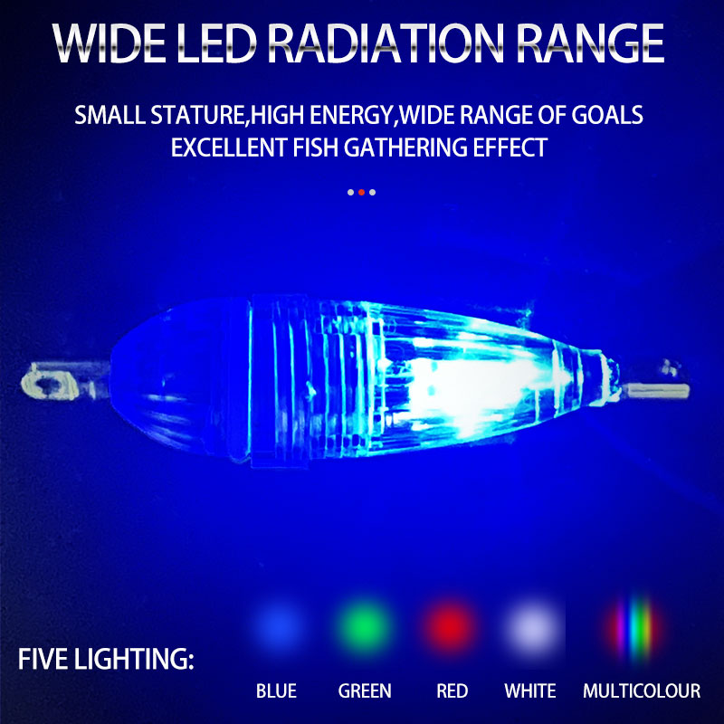 ShareShark 5pcs/bag 6cm LED fl - Fish Alarm ulasan dan harga